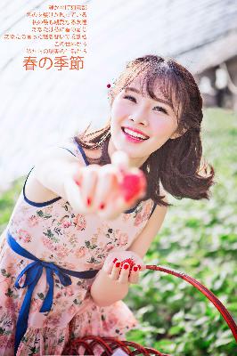 办公室3在线观看免费播放电视剧